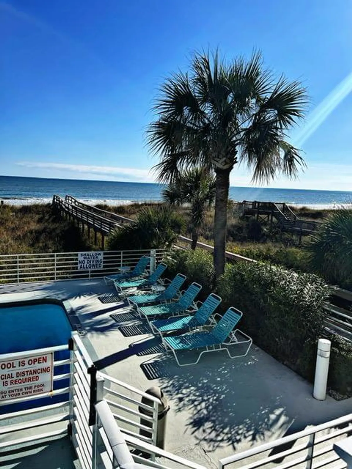 A vibrant outdoor pool area bordered by palm trees, with an inviting swimming pool, several lounge chairs neatly arranged poolside, and the ocean visible in the background beyond a boardwalk. The setting is bathed in natural light, evoking a lively, vacation-like atmosphere.