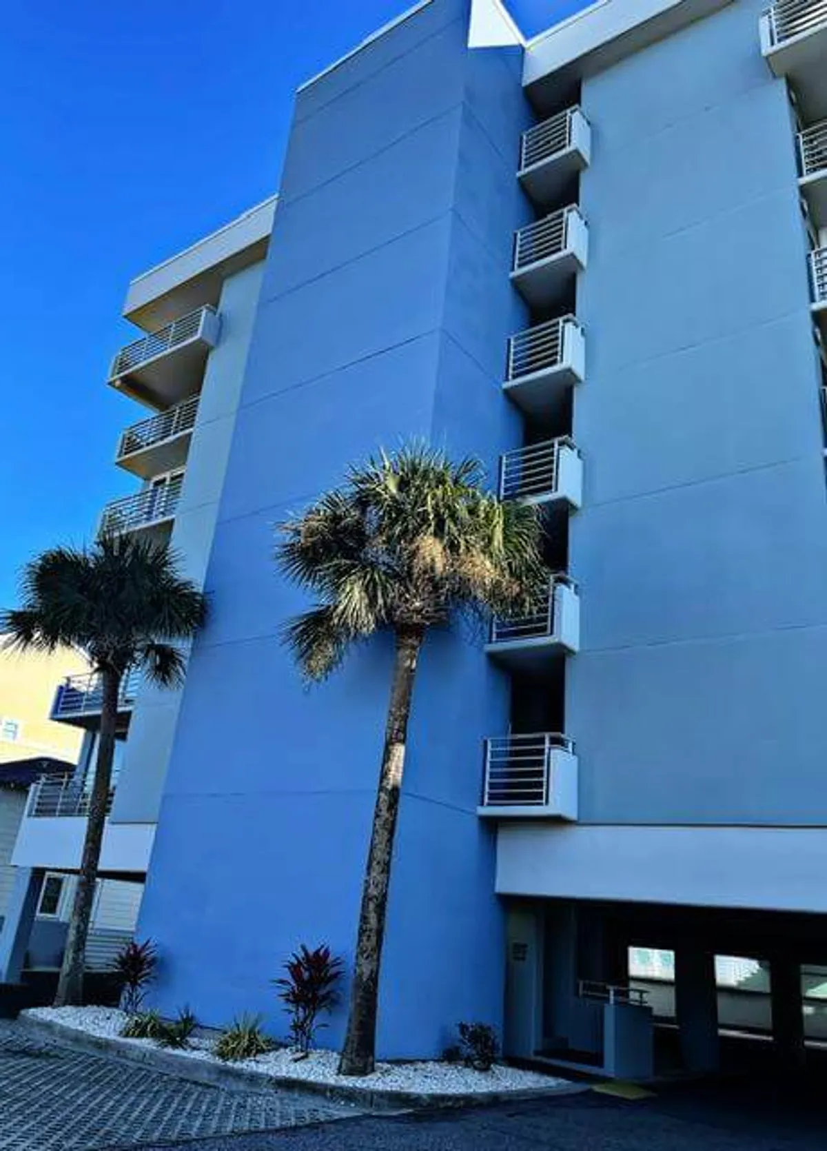 An exterior perspective of a tall blue building lined with balconies, framed by palm trees and a landscaped area with pebbles. The image conveys the building's oceanfront orientation and the promise of sweeping coastal views from each private balcony.